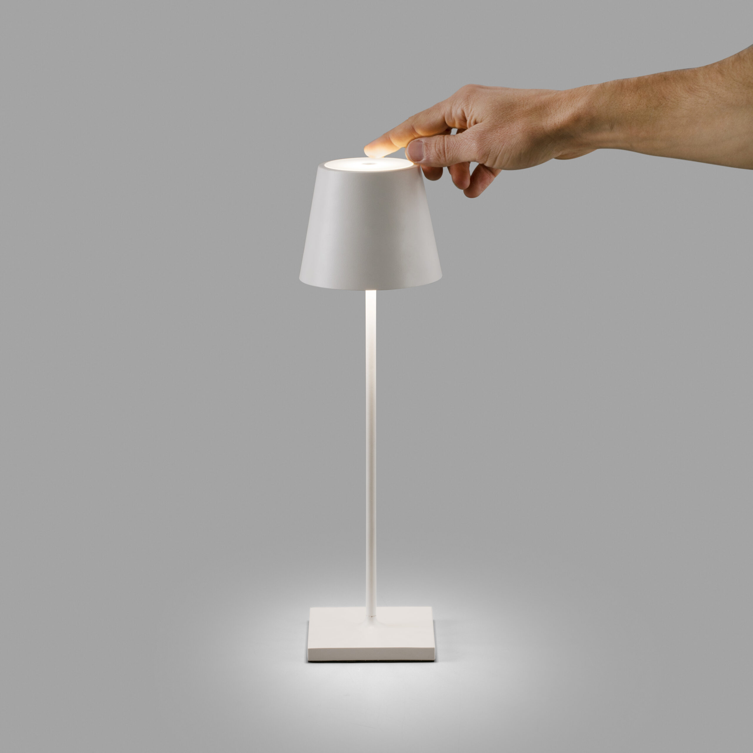 location lampe touch infiny groupe